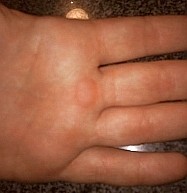 Fahrerhand